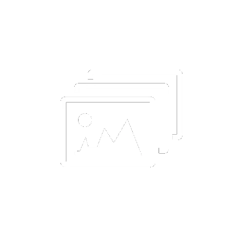 Assets Viewer