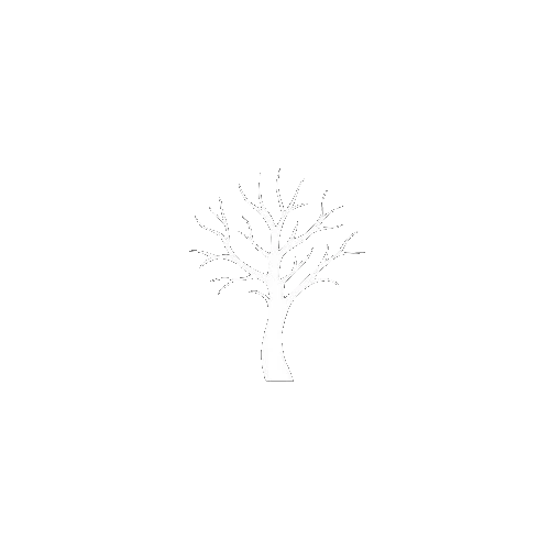 Linktree